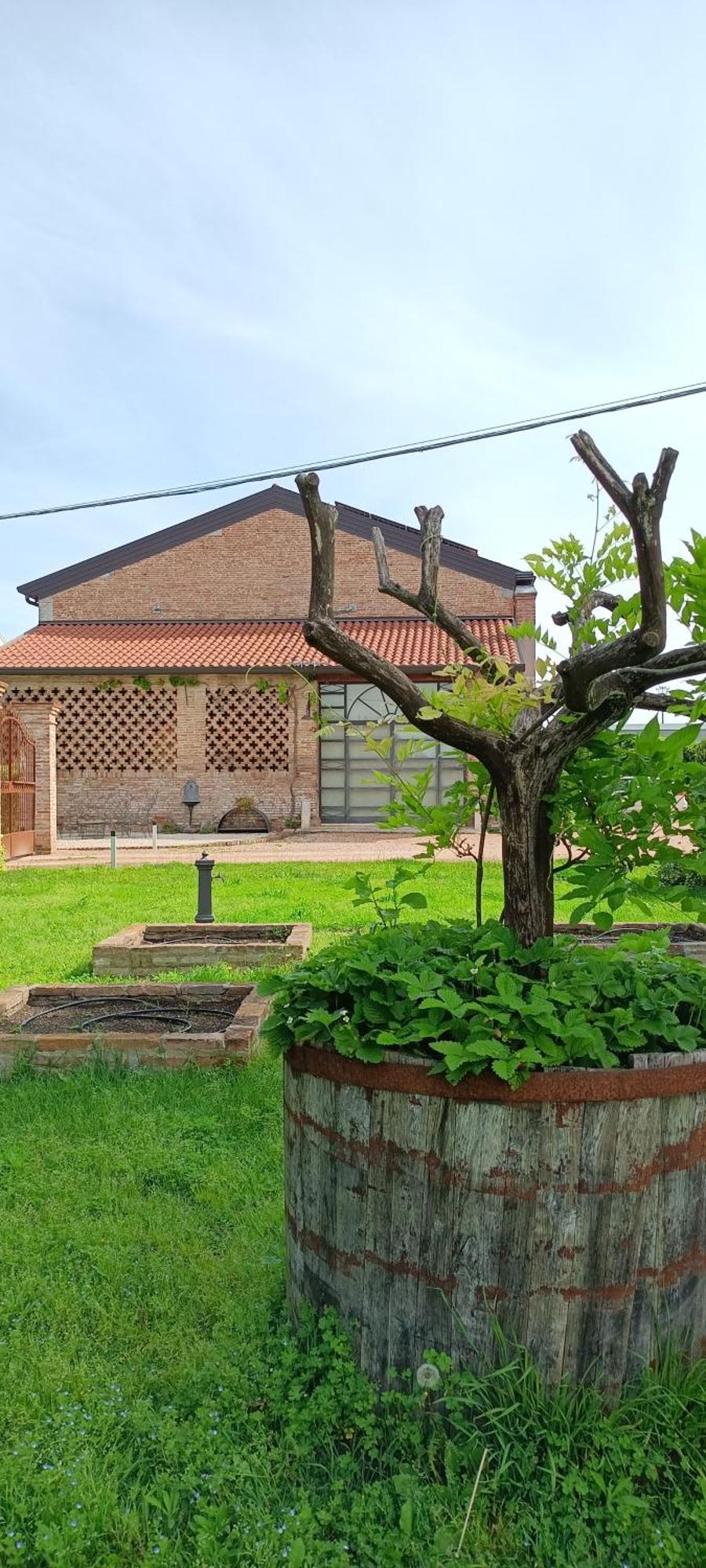 B&B Rocambola Nogara Ngoại thất bức ảnh